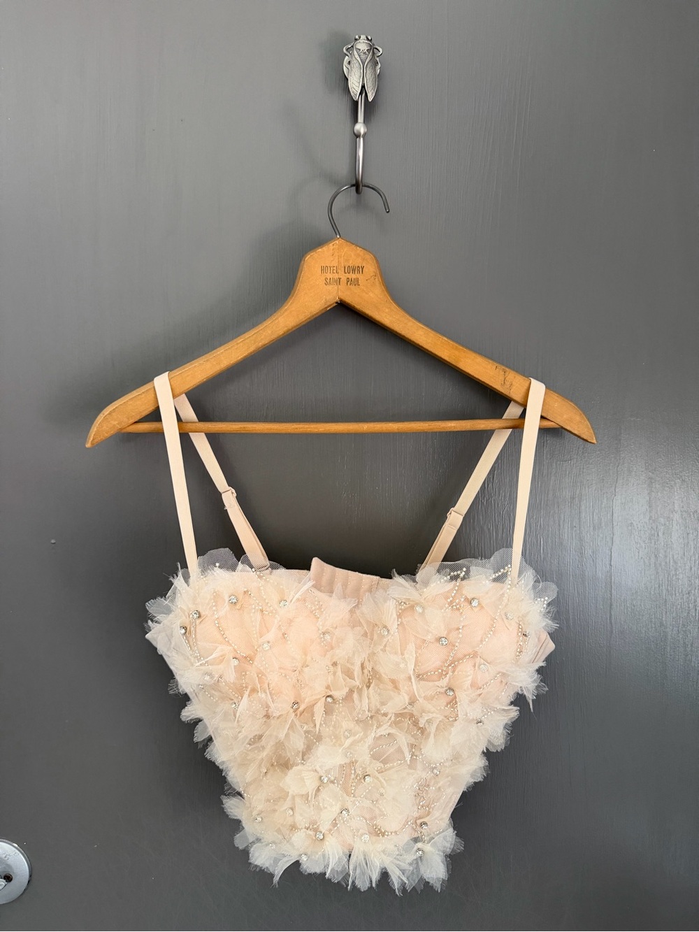 Delicate Blush Floral Appliqué Bustier Top - Picture 2 of 12